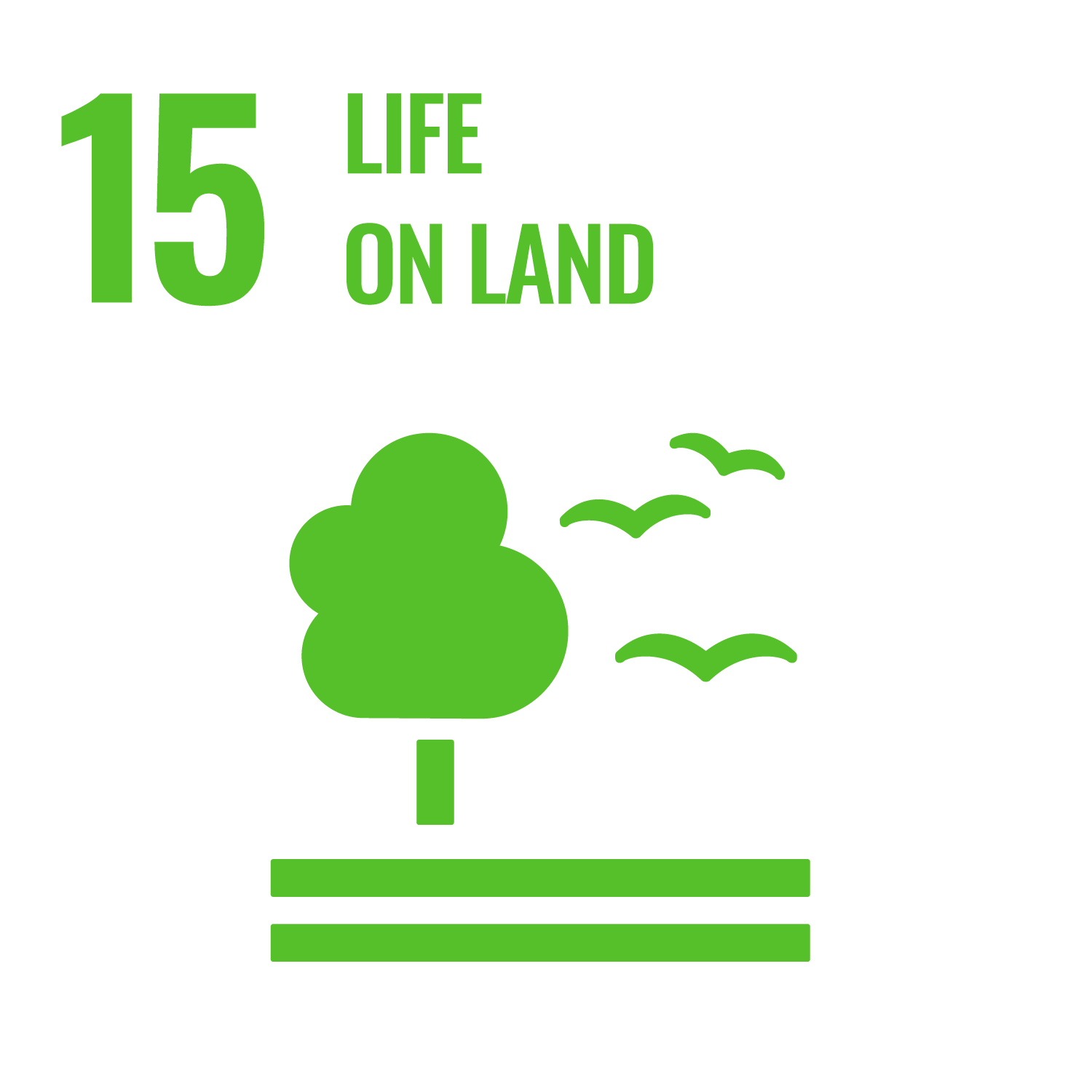 15 UN SDG