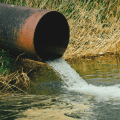 Sewage pollution: what can we do?