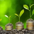 Green pensions and investments from Path Financial