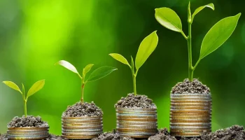 Green pensions and investments from Path Financial