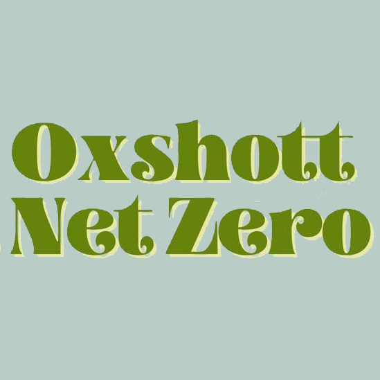 Oxshott Net Zero
