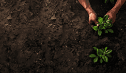 AdobeStock_758343732