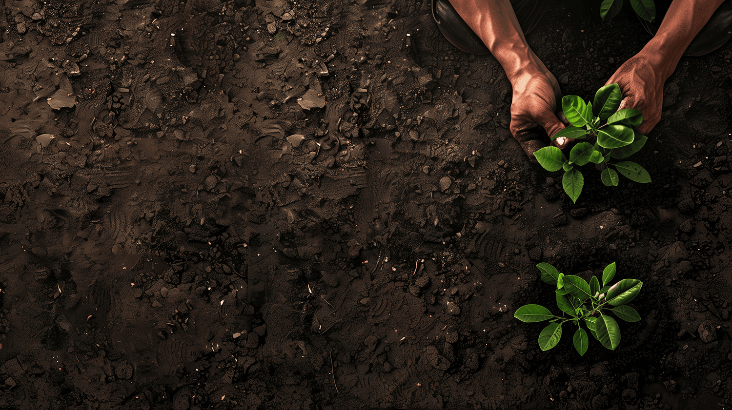 AdobeStock_758343732