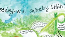 path-financial-seeding-change