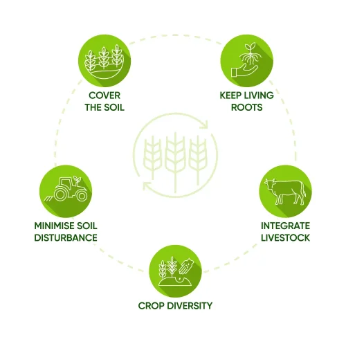 Sustainable & Regenerative Agriculture