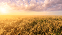 What to do with a large redundancy payment: turning uncertainty into opportunity