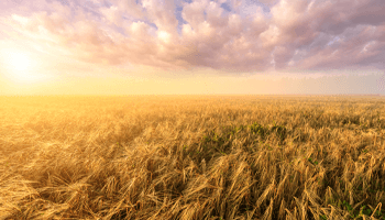 What to do with a large redundancy payment: turning uncertainty into opportunity