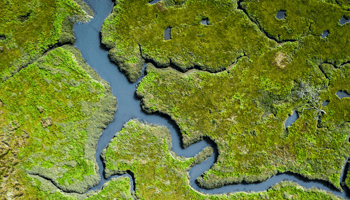 wetlands